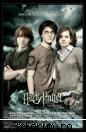 pai stiu ca multora le place imi plac si actorii!!! ce va place la harry potter?